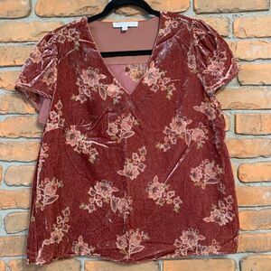 Adyson Parker Top Women's 1X Pink Velvet Floral V-Neck Short Sleeve Blouse Mauve